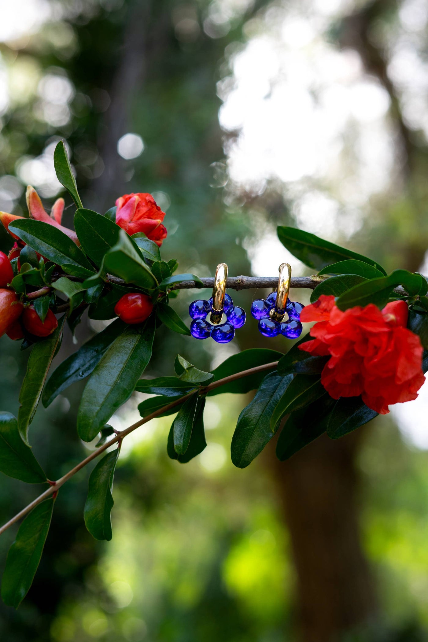 Dazy Glaze in Azure Blue - 18K Gold Plated Hoop