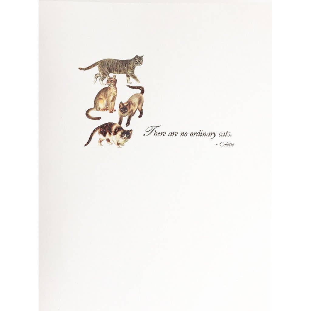Ordinary Cats Card