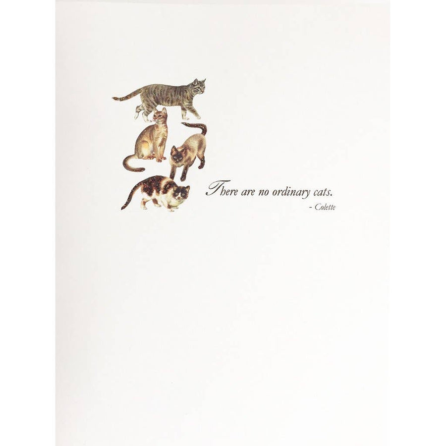 Ordinary Cats Card