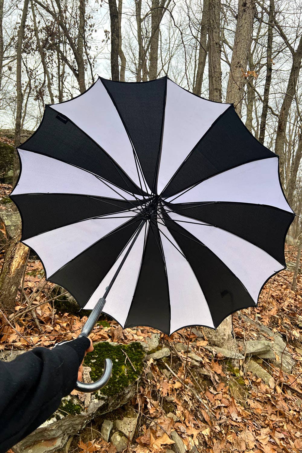 Black and White Striped Umbrella