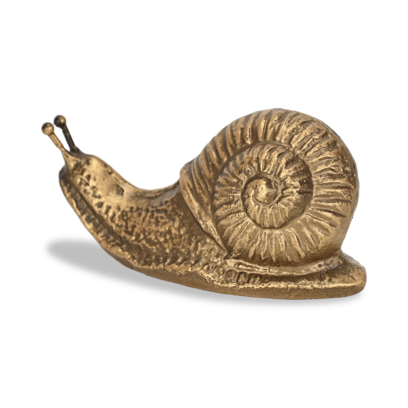 Golden Snail Cast Iron Decor