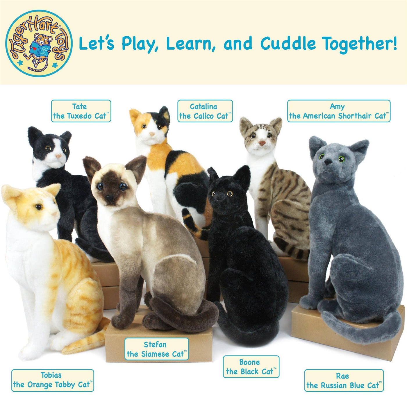 Boone The Black Cat | 13 Inch Stuffed Animal Plush | By TigerHart Toys