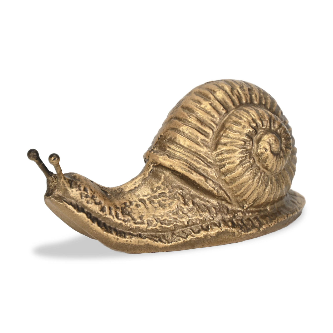 Golden Snail Cast Iron Decor