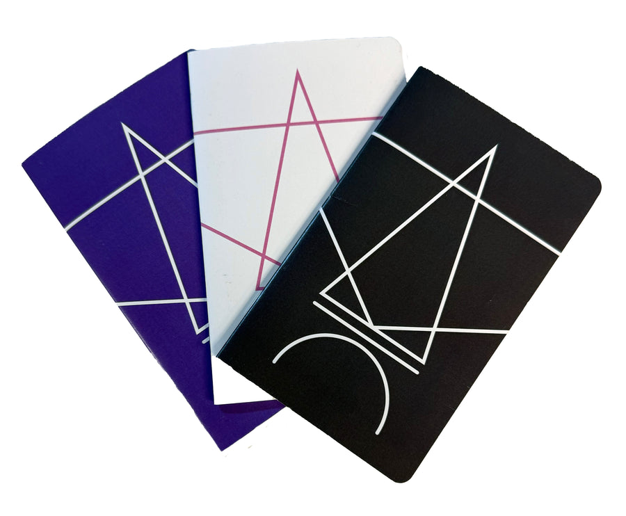 Set of Three Field Notebooks