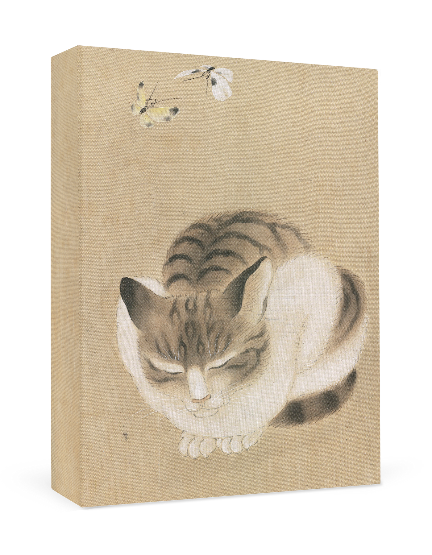 Sleeping Cat and Butterflies Small Boxed Cards
