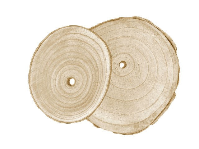 Natural Wood Slice