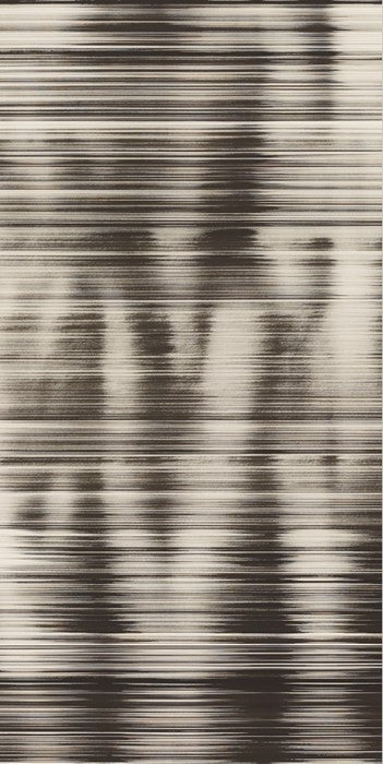 Exhibition Banner - Nares: Moves - Untitled (BW)