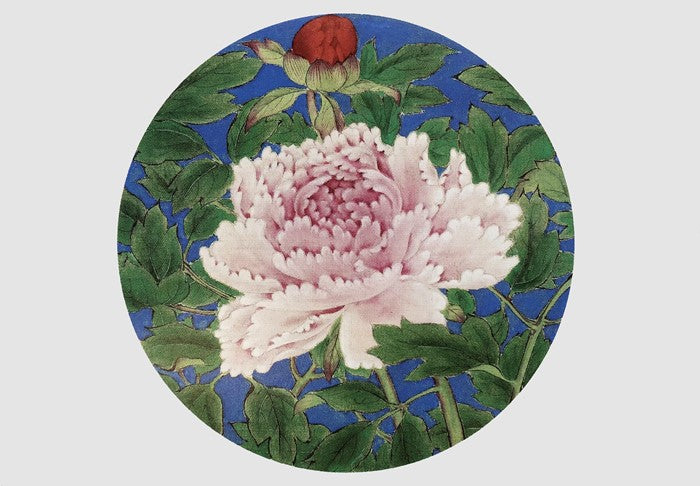 Eishin Peony Small Note Card Set