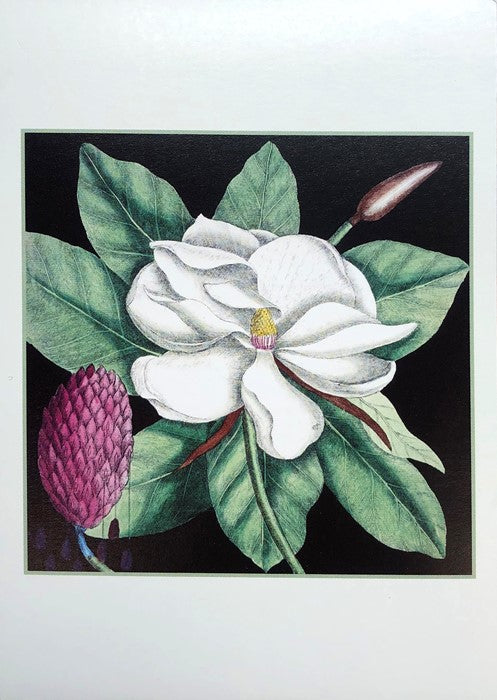 Magnolia Small Notecard Set